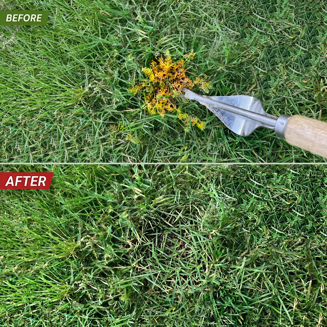 Weed Remover Tool – Pull Weeds from the Root in Seconds